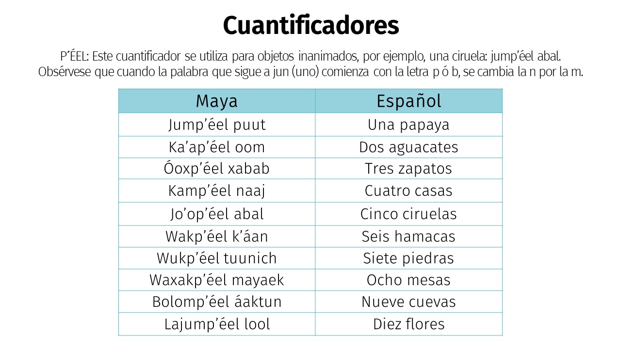 Cuantificadores para seres inanimados