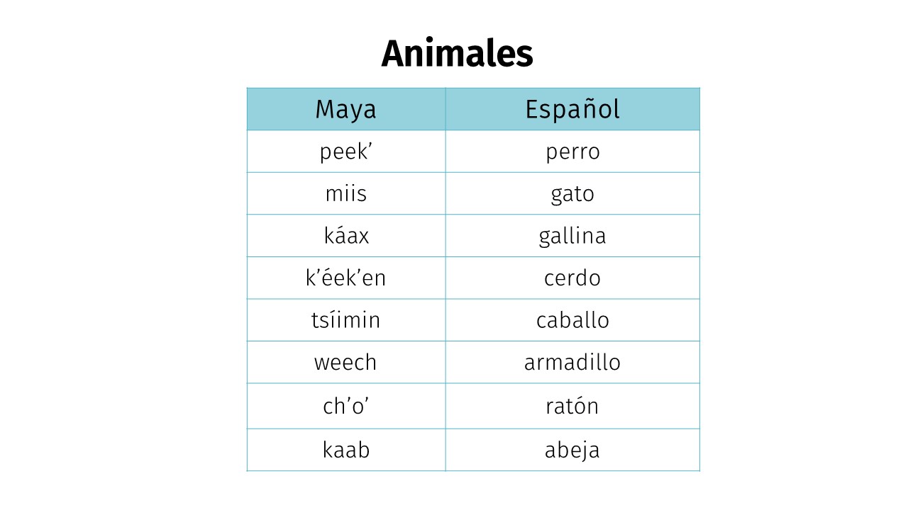 Animales