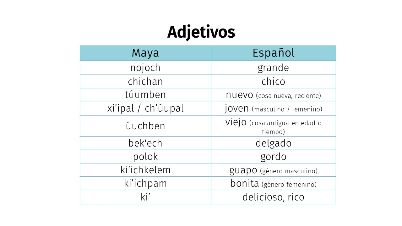 Adjetivos