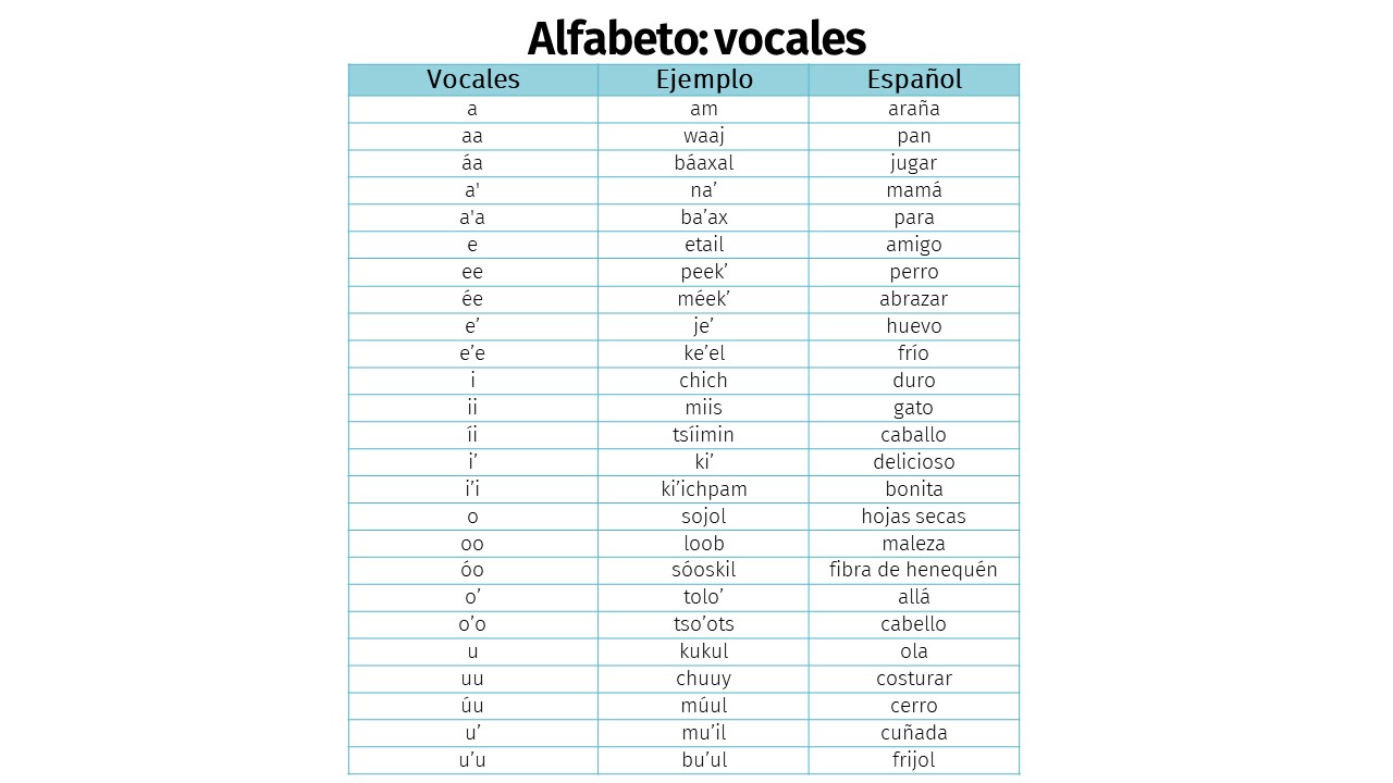 Vocales con ejemplos